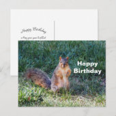 かわいいリス誕生日写真 ポストカード (正面/裏面)