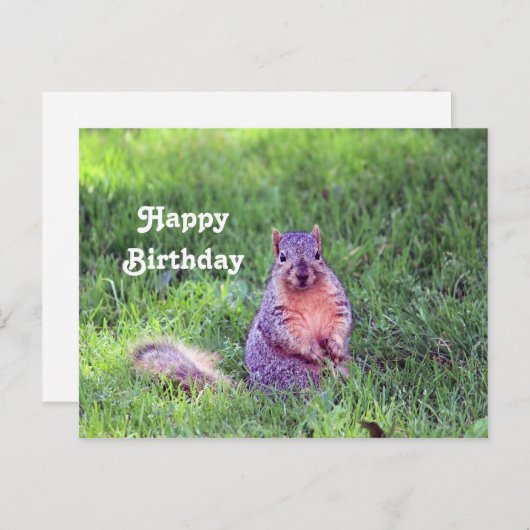 かわいいリス野生生物の写真誕生日 ポストカード (正面/裏面)