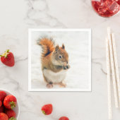 かわいいリス食べリクルナッツ スタンダードカクテルナプキン (インサイチュ)