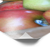 かわいいリス食べルのはリンゴの木箱 フォトプリント            (角)