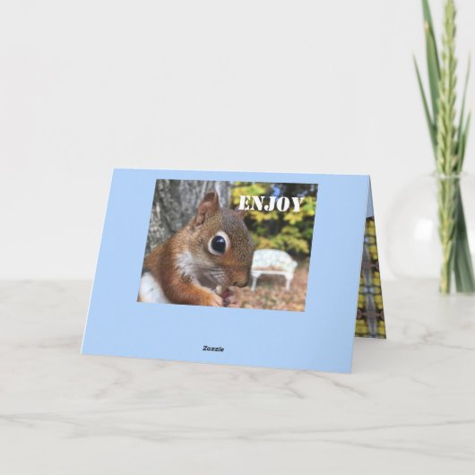 かわいいリス カード (裏面)