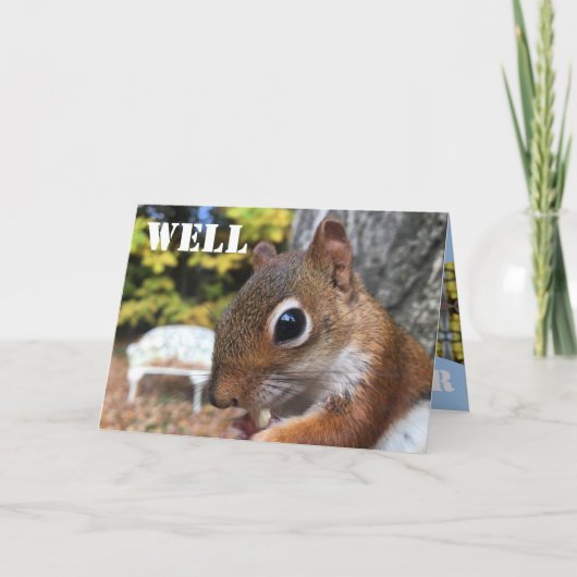 かわいいリス カード (正面)