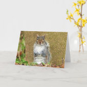 かわいいリス カード (黄色い花)