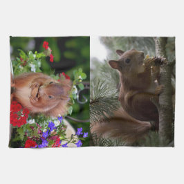 かわいいリス キッチンタオル