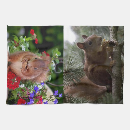 かわいいリス キッチンタオル (横)