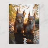 かわいいリス ポストカード (正面)