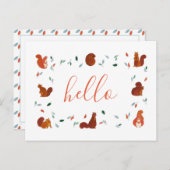 かわいいリス ポストカード (正面/裏面)