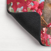 かわいいリス マウスパッド (コーナー)