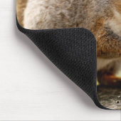 かわいいリス マウスパッド (コーナー)
