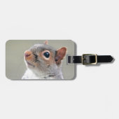 かわいいリス ラゲッジタグ (正面横)