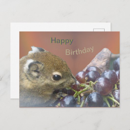 かわいいリス 誕生日ポストカード ポストカード (正面/裏面)