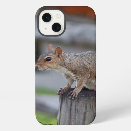 かわいいリスiPhone 6ケース iPhoneケース (裏面)