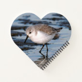 かわいいリトルサンダーリングビーチ ノートブック (裏面)