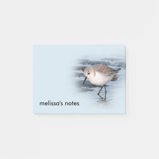 かわいいリトルサンダーリングビーチ ポストイット (正面)