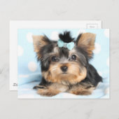 かわいいリトルチニーヨークシャーテリアカップデザイン ポストカード (正面/裏面)