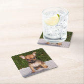 かわいいリトルチワフアパピードッグ スクエアペーパーコースター (インサイチュ)