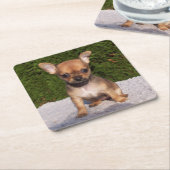 かわいいリトルチワフアパピードッグ スクエアペーパーコースター (アングル)