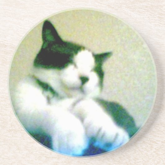かわいいリラックスした子猫 コースター (正面)