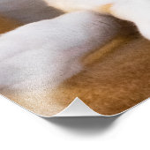 かわいいリラックスの白い三毛猫フォトプリント フォトプリント            (角)