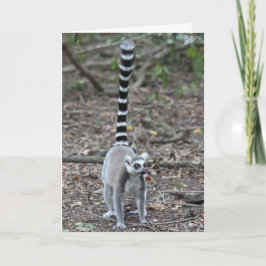 かわいいリング後につかれたLemurの写真 カード