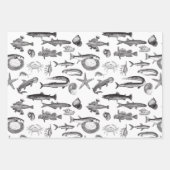 かわいいレインボーフィッシュ&シークリーチャースケッチ ラッピングペーパーシート (正面)