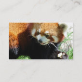 かわいいレッサーパンダくまの名刺 名刺 (裏面)
