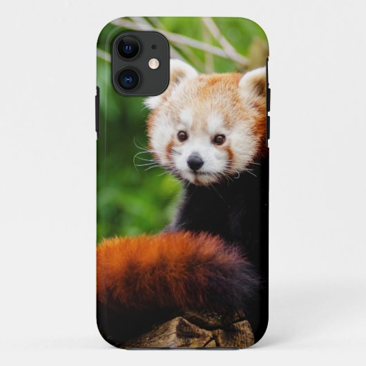 かわいいレッサーパンダくま Case-Mate iPhoneケース (裏面)