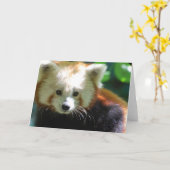 かわいいレッサーパンダの挨拶状 カード (黄色い花)