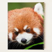 かわいいレッサーパンダ プランナー手帳 (裏面)
