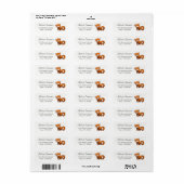 かわいいレッサーパンダ ラベル (フルシート)