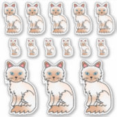 かわいいレッドポイントのシャム風ラグドール シール (正面)