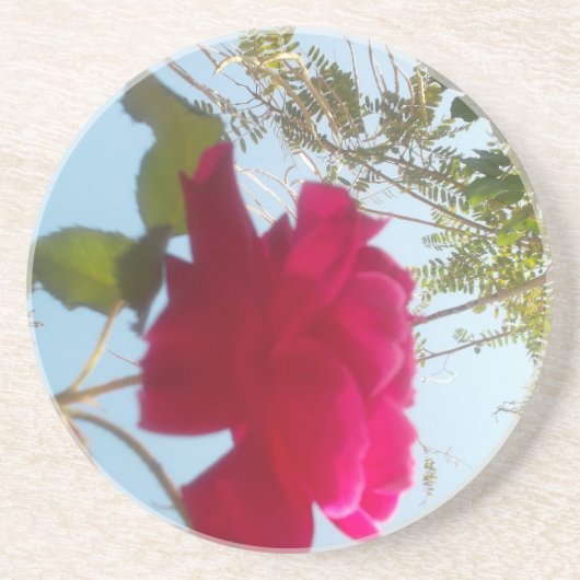 かわいいレトロハクナマタタギフトブルーレッドグリーンスカイ コースター (正面)