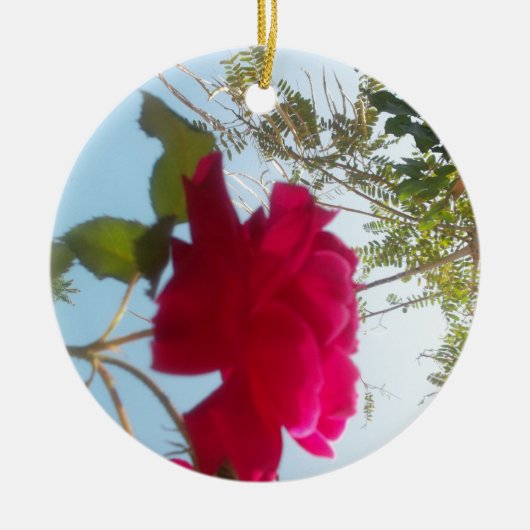 かわいいレトロハクナマタタギフトブルーレッドグリーンスカイ セラミックオーナメント (正面)