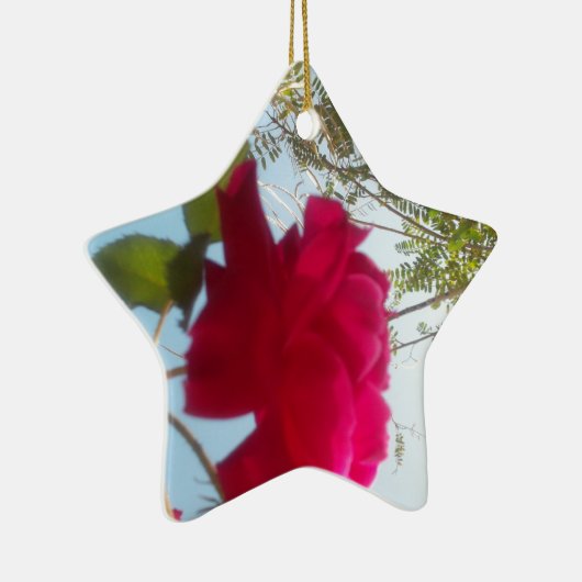 かわいいレトロハクナマタタギフトブルーレッドグリーンスカイ セラミックオーナメント (右)