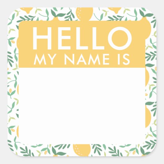 かわいいレモンこんにちは私の名前はシール スクエアシール (正面)