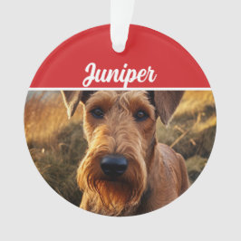 かわいいレークランド・テリアの犬の休日のクリスマス写真 オーナメント