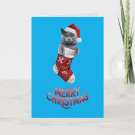 かわいいロシアンブルーの猫のクリスマス カード