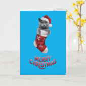 かわいいロシアンブルーの猫のクリスマス カード (黄色い花)