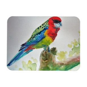 かわいいロゼラパロット鳥 水彩画 アート マグネット