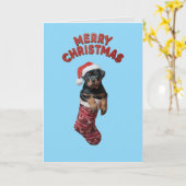 かわいいロットワイラー犬のクリスマス カード (黄色い花)