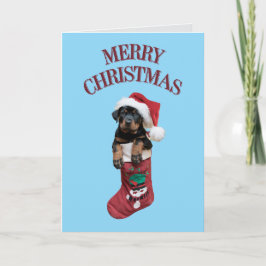 かわいいロットワイラー クリスマス
