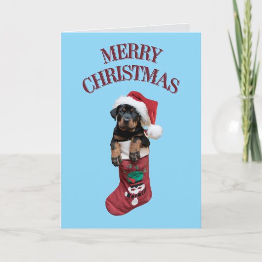 かわいいロットワイラー クリスマス (正面)