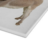 かわいいロバのバロ写真 カッティングボード (角)