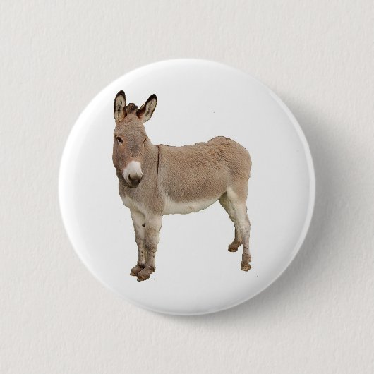 かわいいロバのバロ写真 缶バッジ (正面)