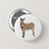 かわいいロバのバロ写真 缶バッジ (正面&裏面)