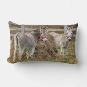 かわいいロバ ランバークッション (正面)