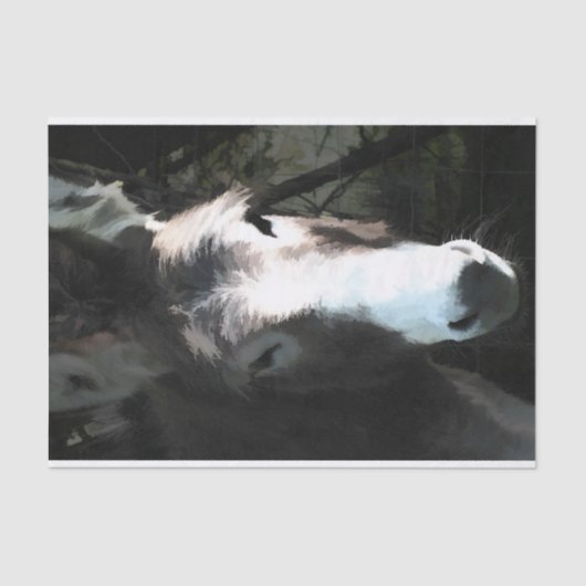 かわいいロバ 薄葉紙 (正面)