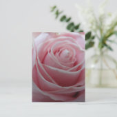 かわいいローズフラワー ポストカード (スタンド正面)