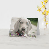 かわいいワイマラナーの子犬の誕生日カード カード (黄色い花)
