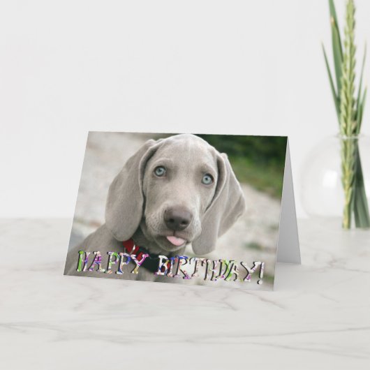 かわいいワイマラナーの子犬の誕生日カード カード (正面)